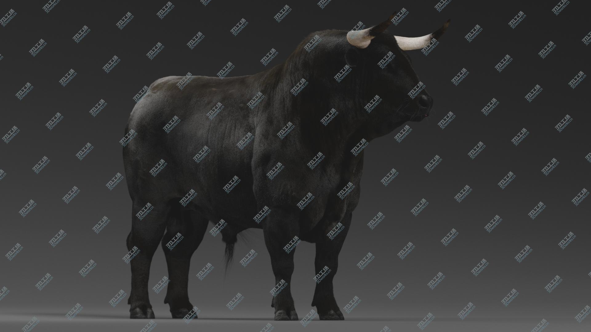 images/goods_img/202104021/3D Bull RIGGED/4.jpg
